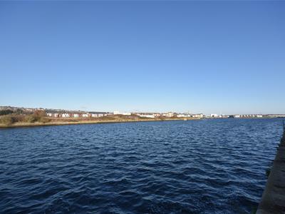 Picture 2